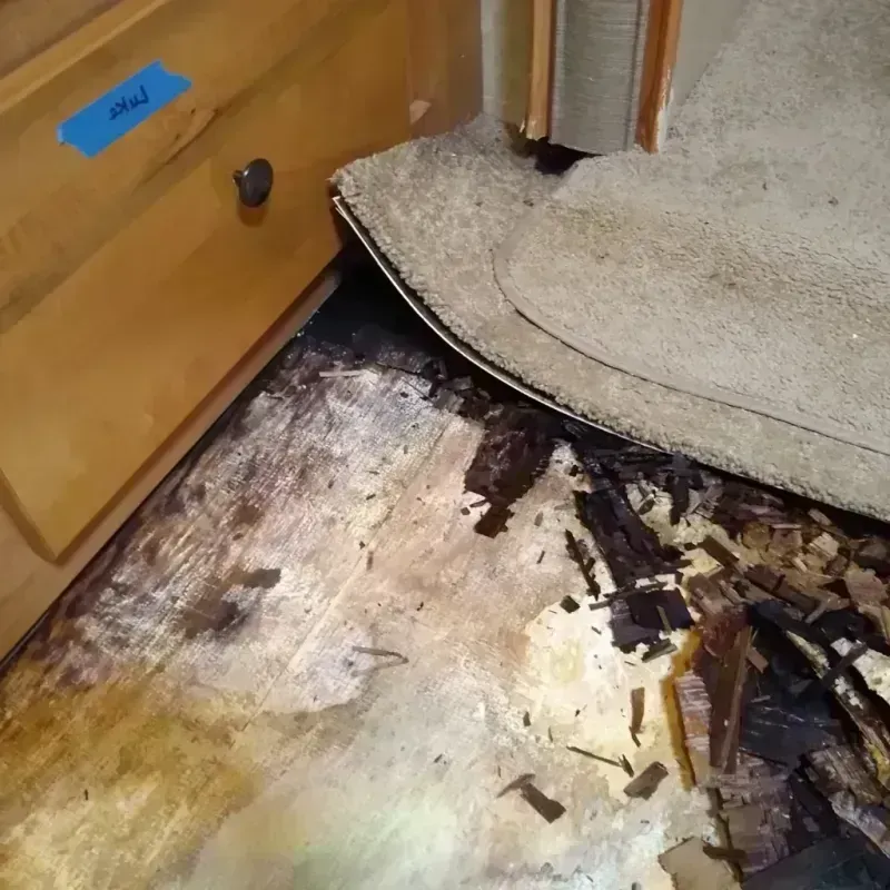 Best Wood Floor Water Damage Service in De Soto County, MS